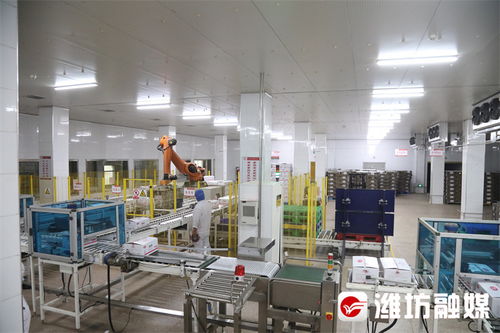 濰觀 濰坊設施農業發展 高分卷 詳解