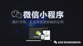 如何定制開發個性化的微信小程序商城