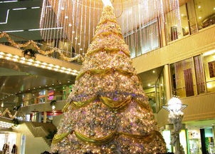 圣誕節(jié)快樂 互生升分享