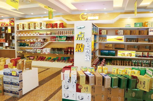 在改革開放的浪潮中砥礪前行